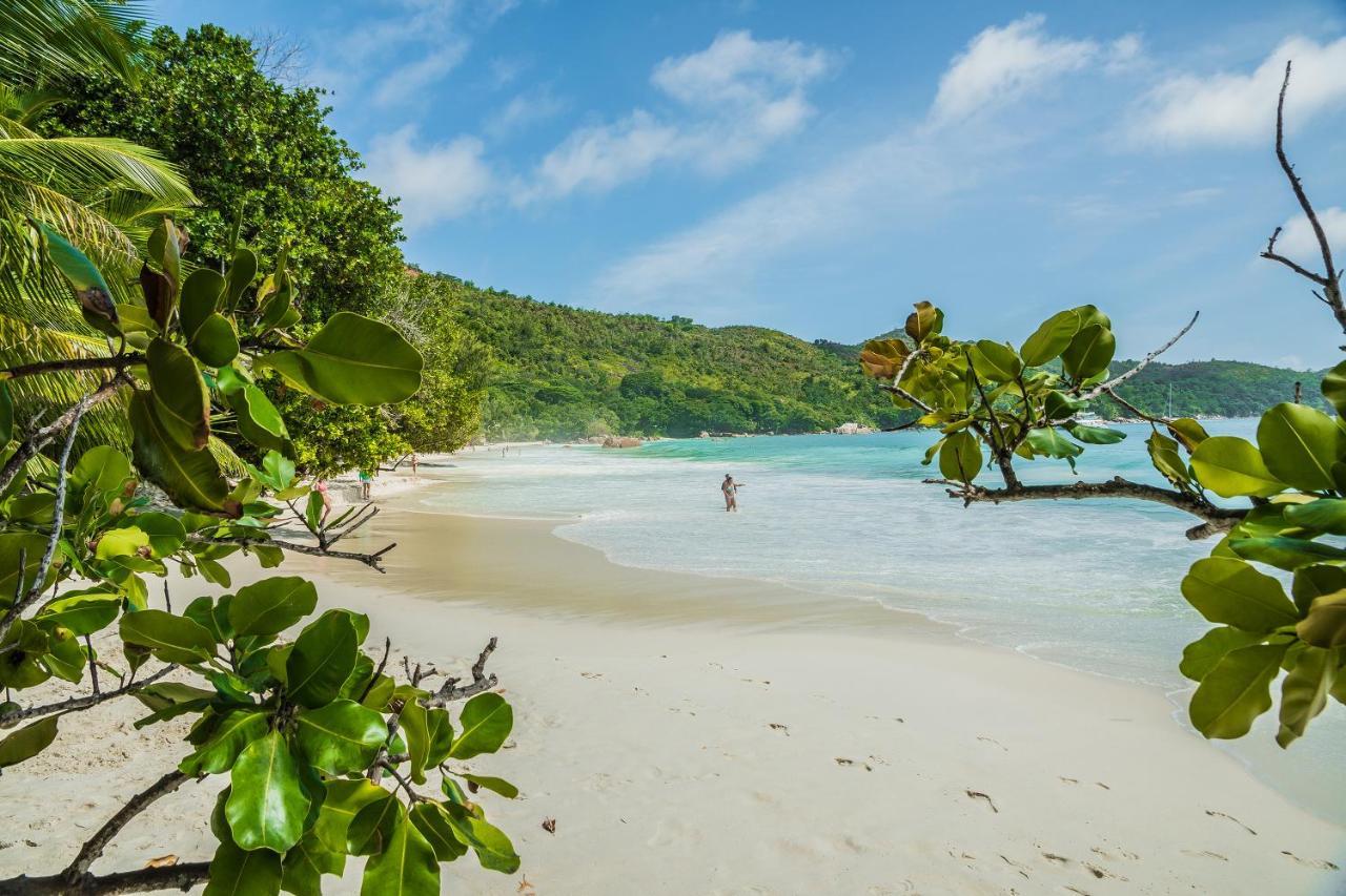 Lou Lou Bungalow Grand Anse  Exteriör bild