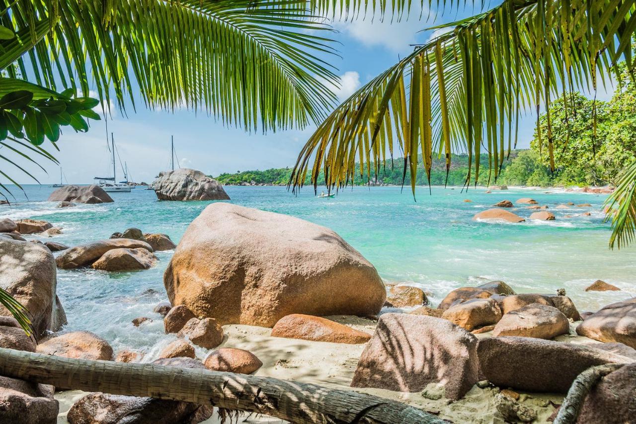 Lou Lou Bungalow Grand Anse  Exteriör bild