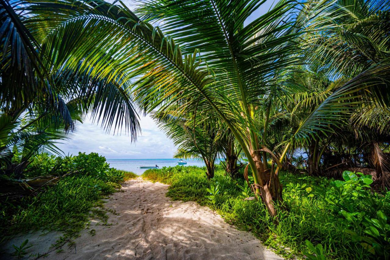 Lou Lou Bungalow Grand Anse  Exteriör bild